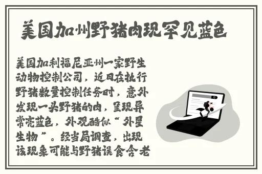 赌钱软件1元可以玩