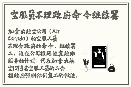 国产精品白浆无码流出免费软件